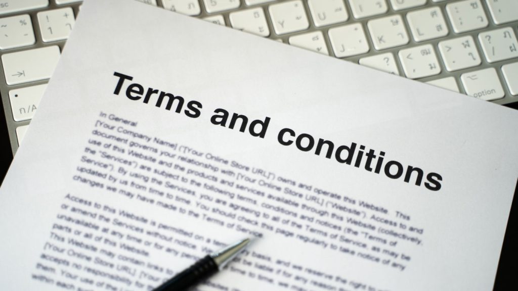 Terms and Conditions for one to one, online primary lessons
